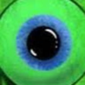 Meet your Posher, Dylon